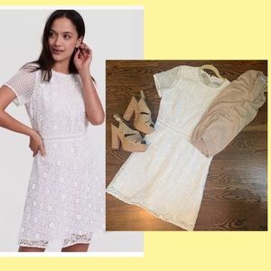 Loft White Camellia Lace Dress